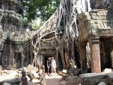 cambodia Angkor wat (tomb raider)
